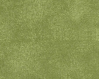 Surface Screen Texture Fabric, Sage by Timeless Treasures, Blender Fabric, Quilting Fabric