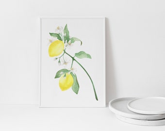 Botanical fruit print | Kitchen print | Lemon decor | Citrus fruit print