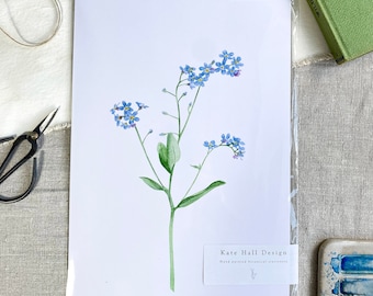 Forget me not | Blue Flower Print | Botanical Art Print