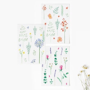 Könnte beinhalten: Drei Aquarell-Illustrationen von Blumenarrangements. Die erste Illustration zeigt eine blaue Blume mit grünen Stielen und Blättern. Die zweite Illustration zeigt rosa Blumen mit grünen Stielen und Blättern. Die dritte Illustration zeigt eine Vielzahl von Blumen in Rosa, Orange und Gelb mit grünen Stielen und Blättern.