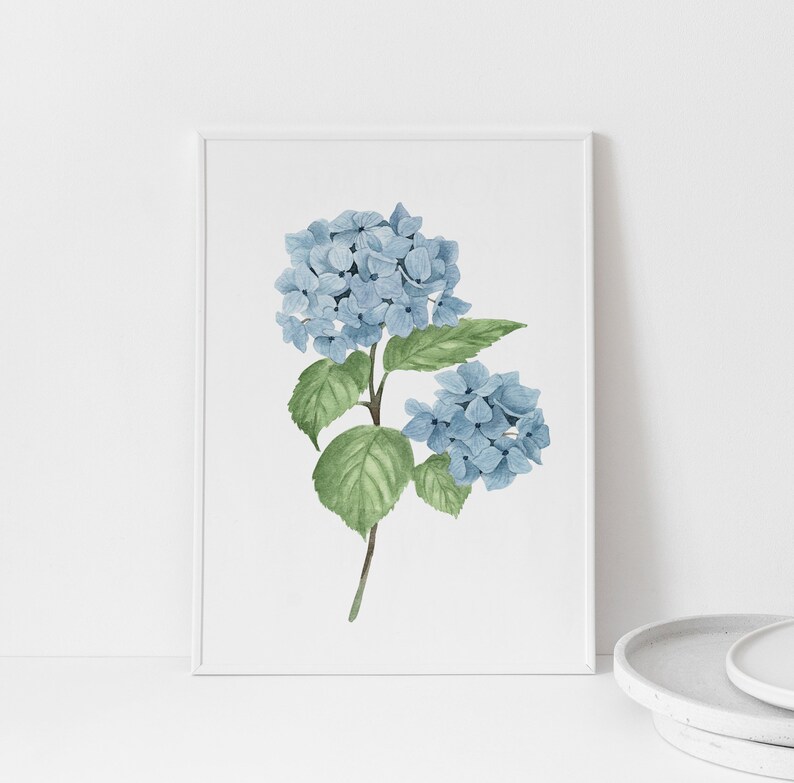 Blue Hydrangea Watercolor Print: Botanical Wall Art - Etsy