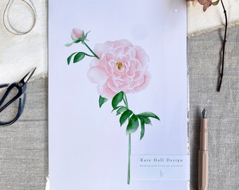 Pink Peony Watercolor Print: Botanical Wall Art
