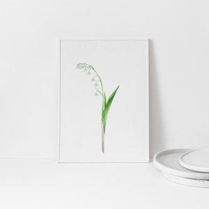 Impression d'art botanique de muguet | Mai Naissance Mois Fleur