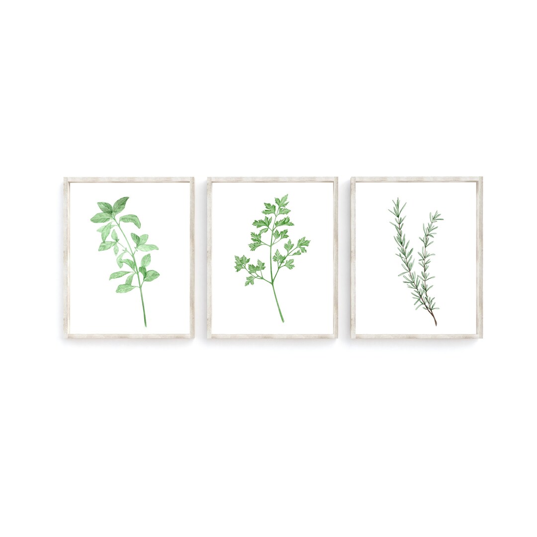 botanical herb prints set of 4 unframed botanical herb... Herb Prints | Kitchen Decor | Kitchen Wall Art | Botanical Print Set ...