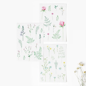 Botanische Karten | Kartenset x 3 | Aquarell Blumen Notizzettel