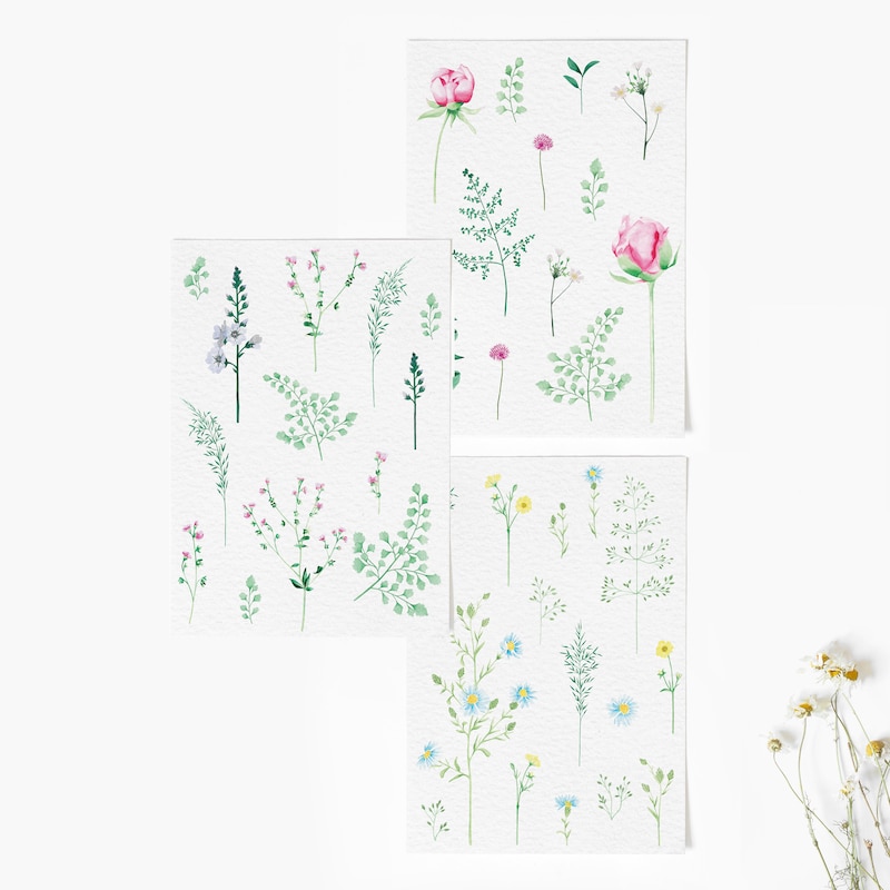 Notelets Floral Notelets - Etsy UK