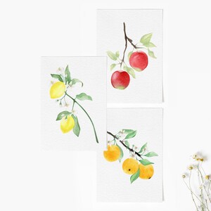Jeu de 3 cartes vierges de fruits botaniques | Jeu de cartes aquarelle | Citrons | Pommes | Oranges