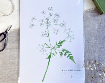 Watercolor Cow Parsley Print: Minimalist Botanical Art