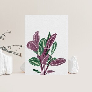 Plant lover card | Botanical plant card | Watercolour plant card | Calathea