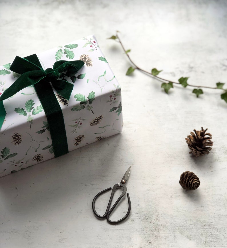 May include: A white gift box with a green ribbon and a green and white floral pattern. The box is sitting on a white surface with two small pine cones and a pair of small scissors.