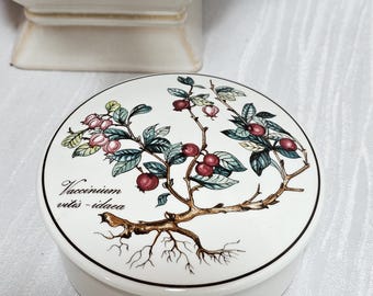 Villeroy & Boch Botanica Trinket/Storage Box  Excellent Condition, Large Size Trinket Box Vaccinium Vitis idaea Pattern