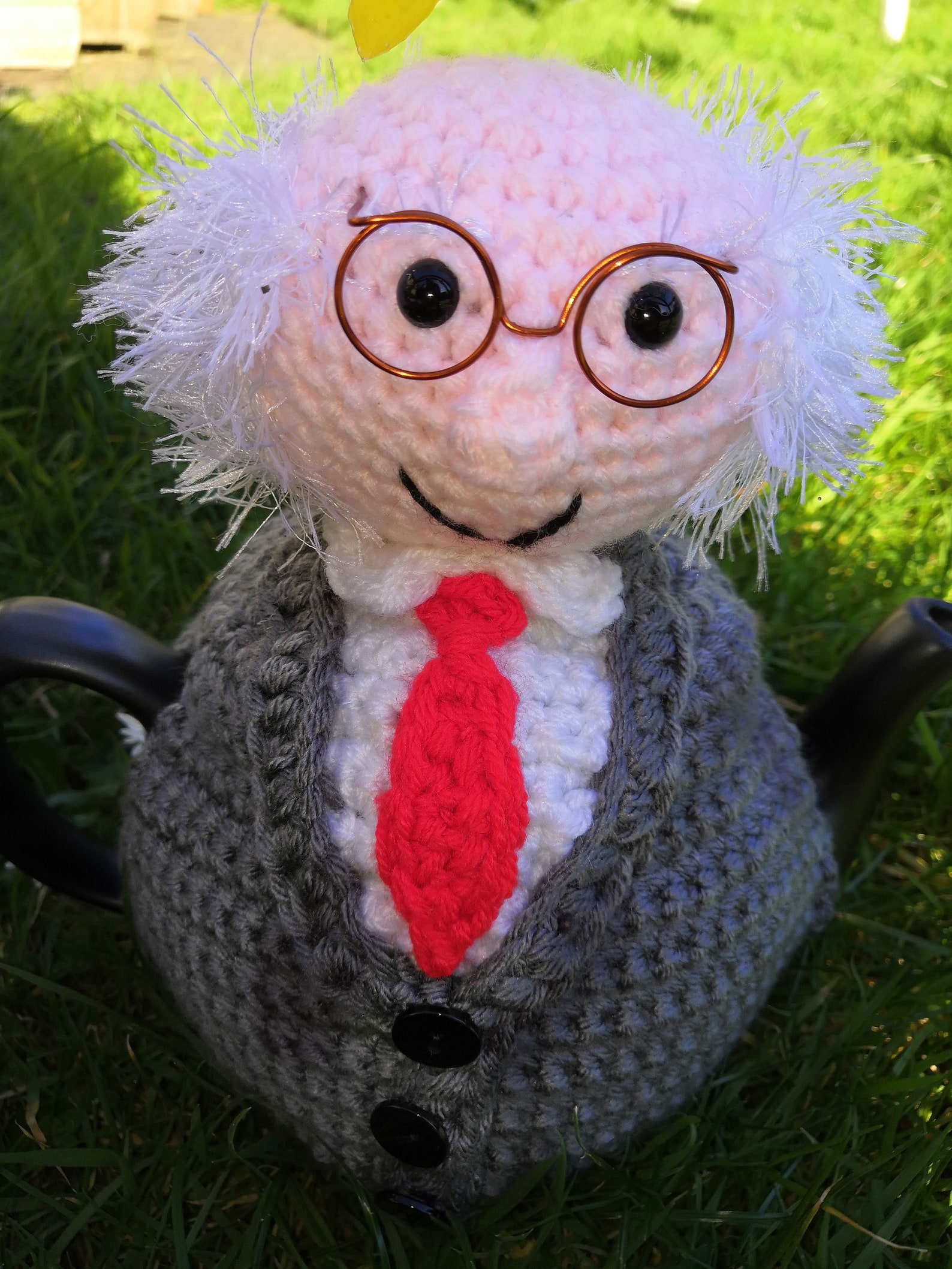 Crochet Kit for Michael D Higgins Tea Cosy Etsy