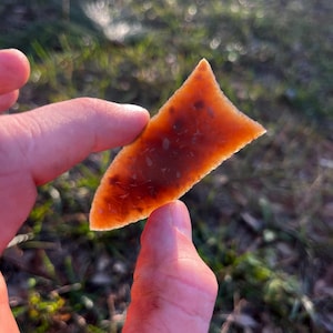 Può includere: Una punta di freccia traslucida, marrone-arancio, di forma triangolare. La punta di freccia è tenuta tra due dita, con uno sfondo sfocato di erba verde e luce solare.