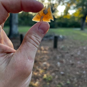May include: A translucent, amber-colored arrowhead with a small, lighter-colored inclusion. The arrowhead is held between two fingers against a blurred background of trees and sunlight. The arrowhead is a triangular shape with a notched base.