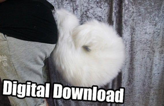 SCARICA TAILS