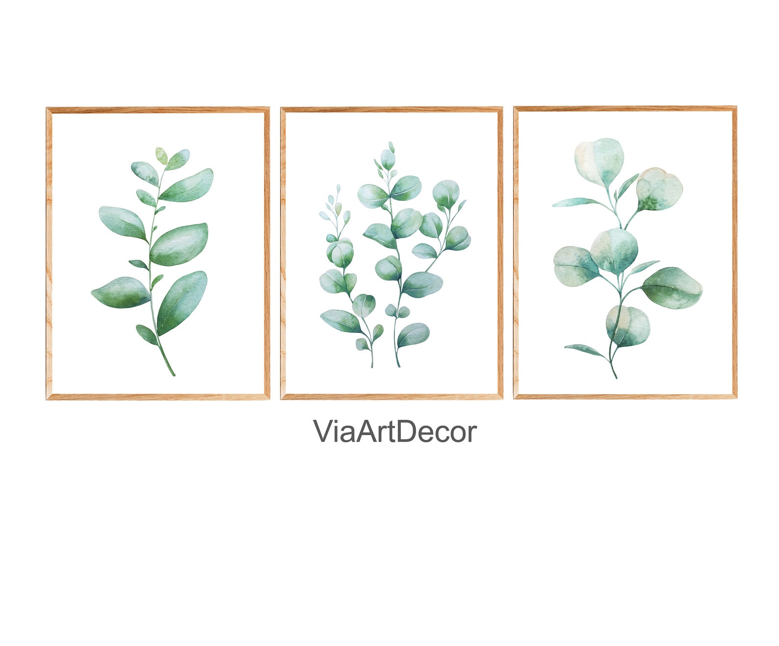 Eucalyptus Wall Art Printable Set of 3 Botanical Leaf Plant Etsy