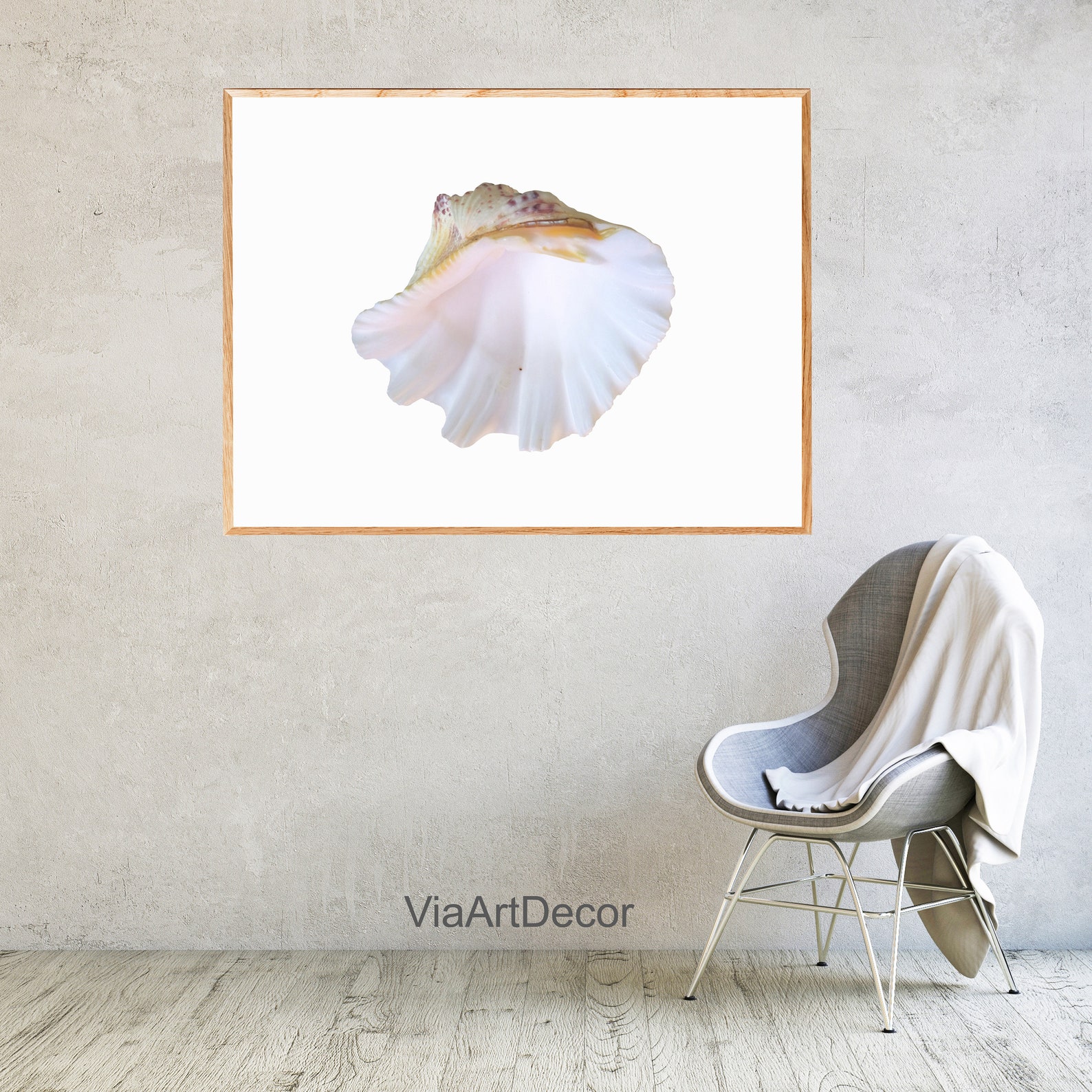 Concha de mar blanco Imprimir playa arte de pared costera | Etsy