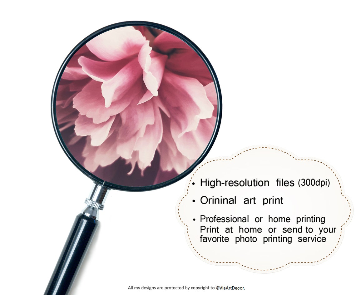 Pink Peony Print Blush wall art Modern boho Peonies Printable Etsy