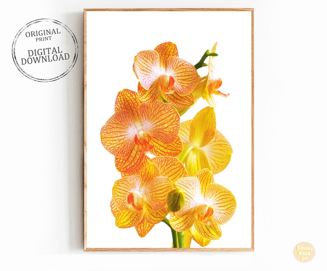 Botanical Prints Printable Poster Floral Wall Art Modern Art Prints ...
