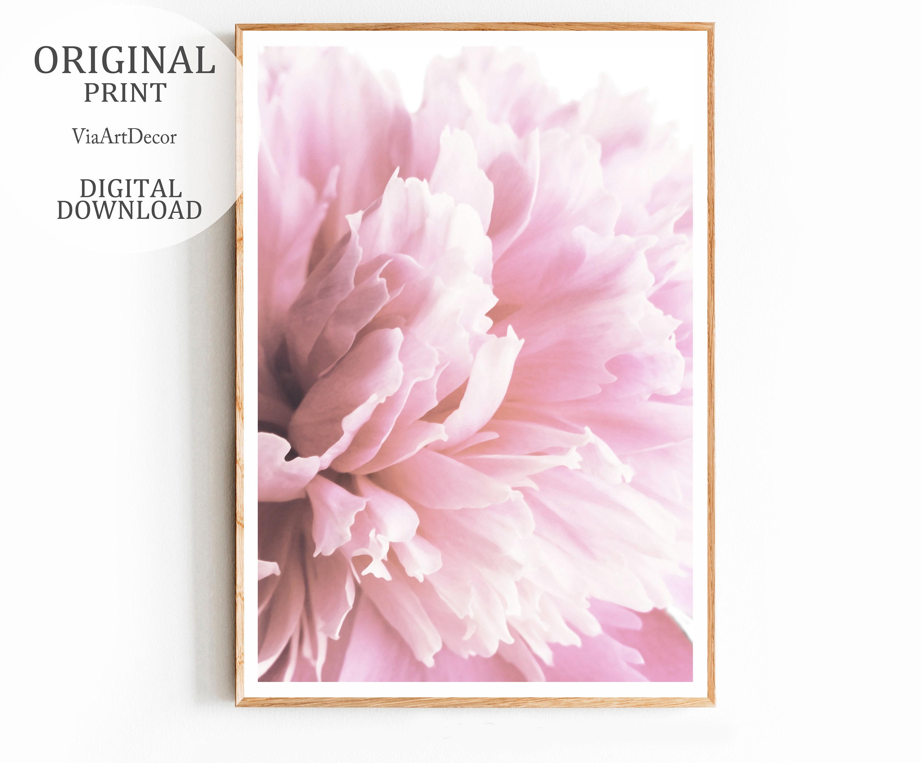 Blush pink Floral wall art Printable Peonies print Peony Etsy