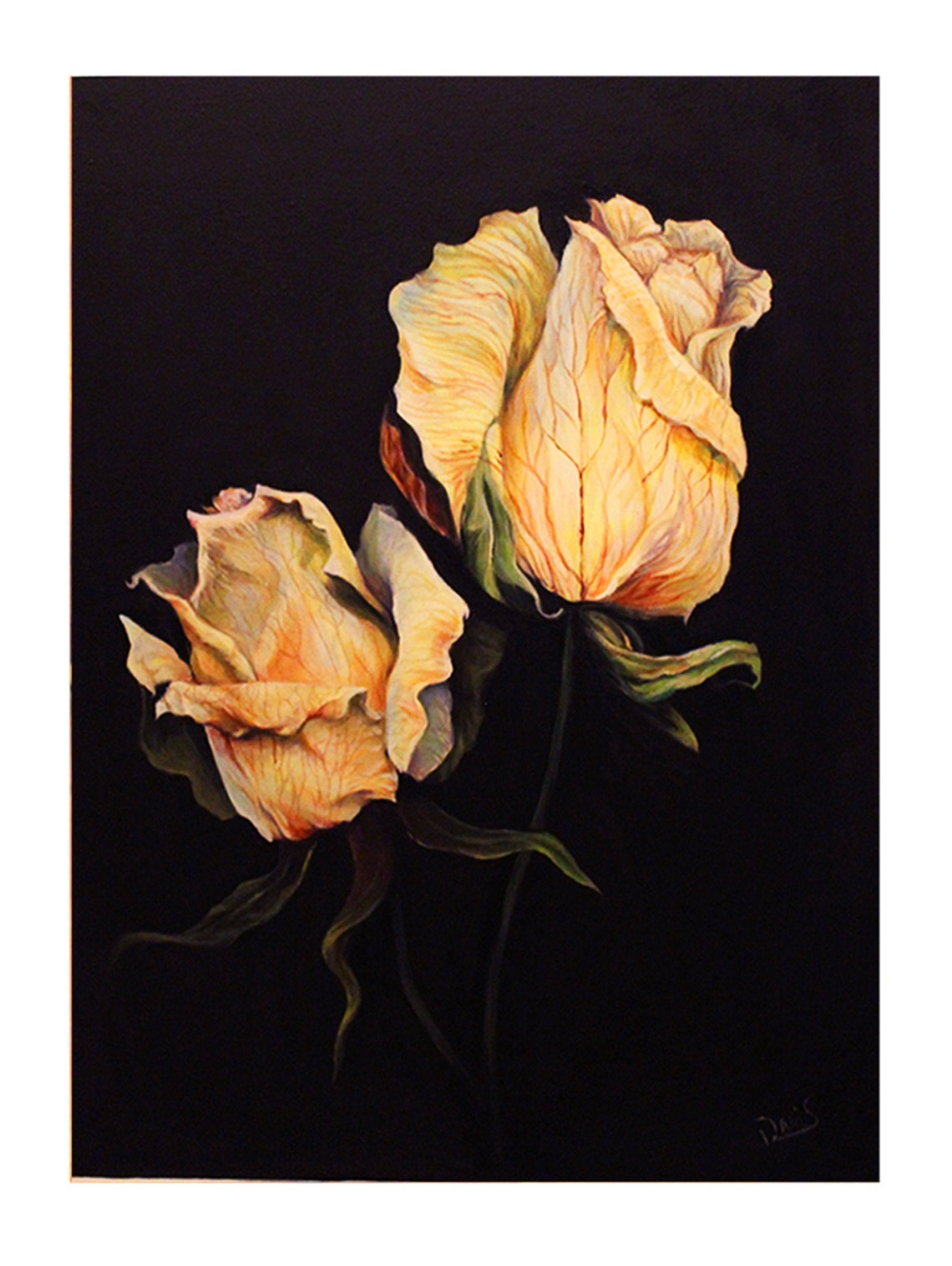 Original painting of white roses Etsy