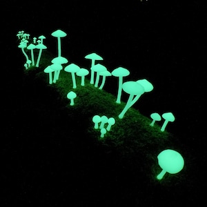 Realistic Glow-in-the-Dark Mushrooms (Decorative) - PDF Plans - Easy to Make