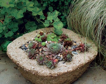 Mélange de ciment Hypertufa prêt à l'emploi - Faites votre propre Hypertufa - Il suffit d'ajouter de l'eau !