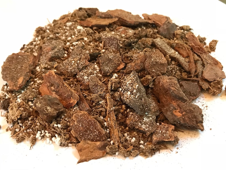 May include: Close-up of a brown potting mix with small white granules and bark chips.