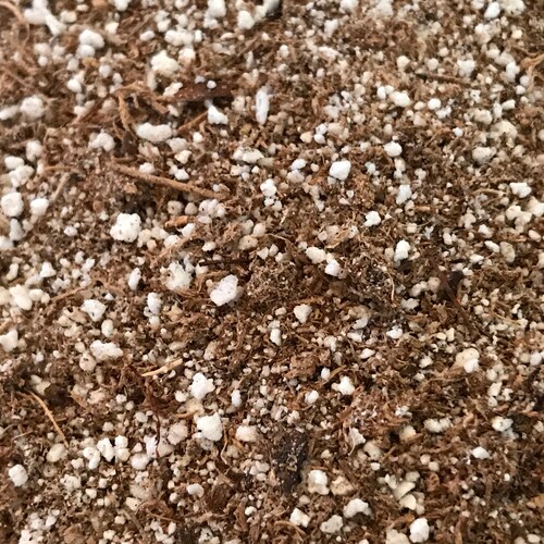 General Carnivorous Plant Potting Soil Mix Organic No Etsy