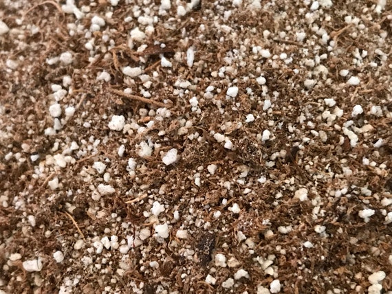 General Carnivorous Plant Potting Soil Mix- Organic, No Additives or Fertilizers