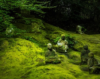 Moss Crete - Mélange de ciment naturel pour pierre pour faire pousser de la mousse sur des statues, des sculptures et des fonds de terrarium