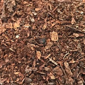 Natural Forest Mulch/Humus (Organic Additive for Soils and Substrates)