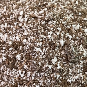 May include: Close-up of a brown soil mix with small white pebbles. The soil is a mixture of brown and white, with the white pebbles being more prominent.