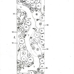 Custom Japanese Garden Design - Detailed Plant List & Support - Designed for YOUR Planting Space image 3