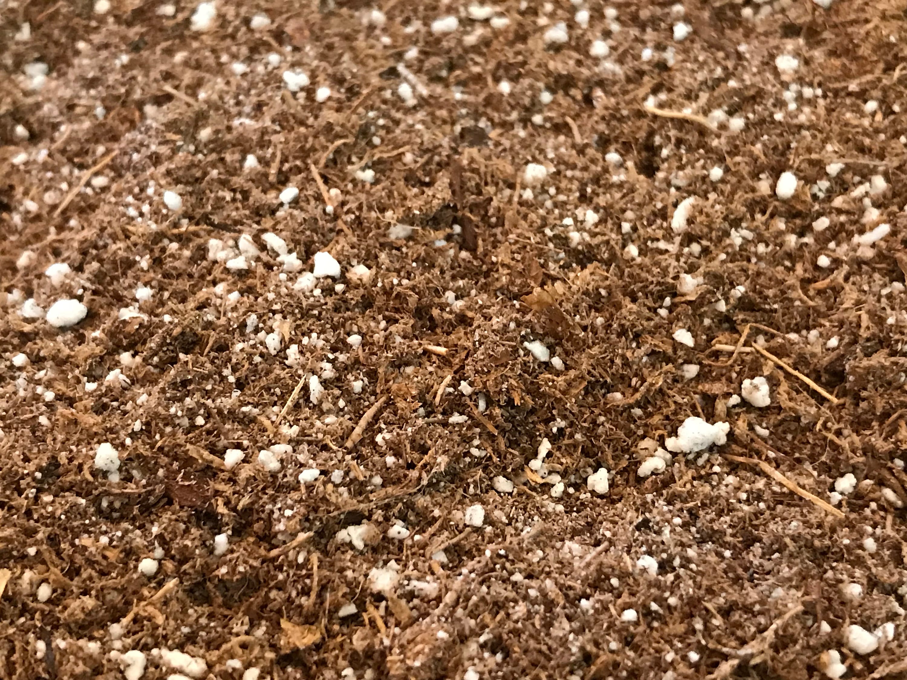 beviser dateret hældning Pre-blended Venus Fly Trap Potting Soil Mix Peat Based - Etsy Canada
