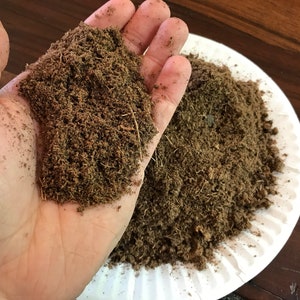 May include: A close-up of a hand holding a pile of brown coconut coir, a natural soil amendment for plants.