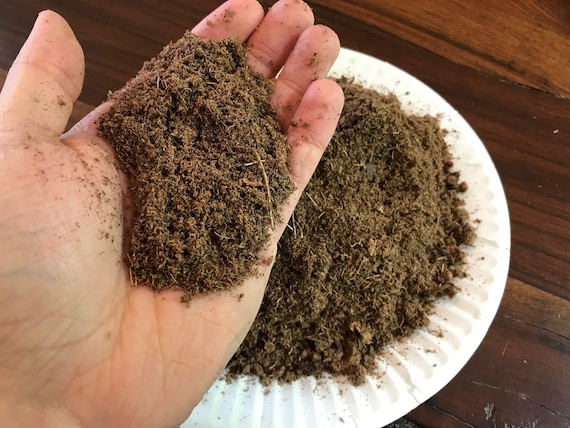 Canadian Sphagnum Peat Moss for Carnivorous Plants