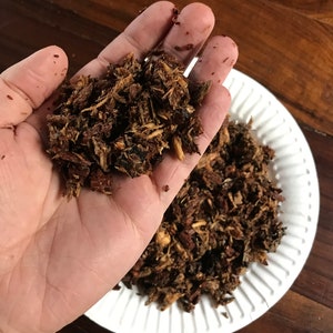 May include: A close-up of a hand holding a pile of brown and tan wood chips. The chips are on a white paper plate.