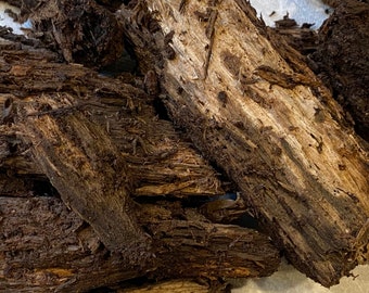 Decayed Hardwood for Beetles, Isopods, Millipedes, Vivariums (Large Pieces)