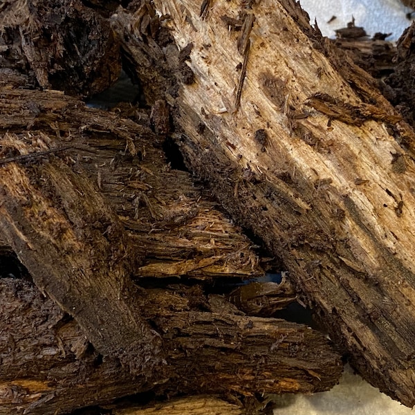 Decayed Hardwood for Beetles, Isopods, Millipedes, Vivariums (Large Pieces)