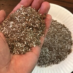 May include: A close-up of a hand holding a handful of brown and white potting mix. The mix is made up of small, brown pieces and white perlite.