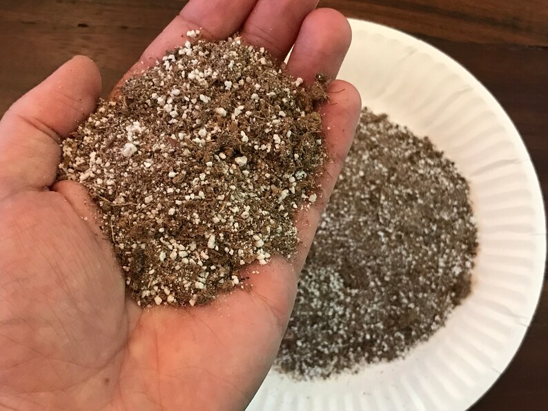 May include: A close-up of a hand holding a handful of brown and white potting mix. The mix is made up of small, brown pieces and white perlite.