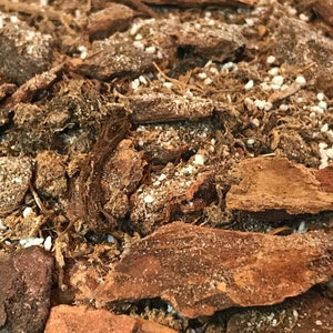 May include: Close-up of a brown and white soil mix with small white granules. The soil is made up of bark chips, moss, and other organic matter.
