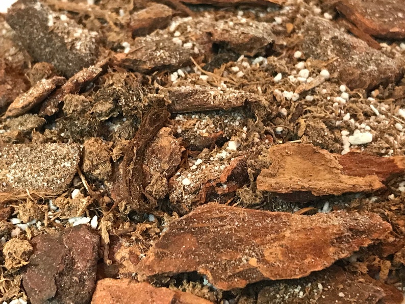 May include: Close-up of a brown and white soil mix with small white granules. The soil is made up of bark chips, moss, and other organic matter.