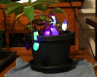 PDF Guide - How to Make Realistic Glowing Plants! (Using REAL Plants)