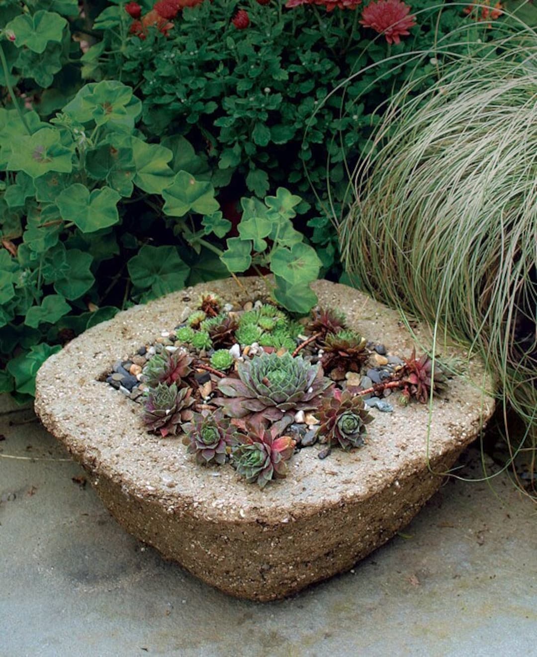 Readytogo Hypertufa Cement Mix Make Your Own Hypertufa Just Add Water