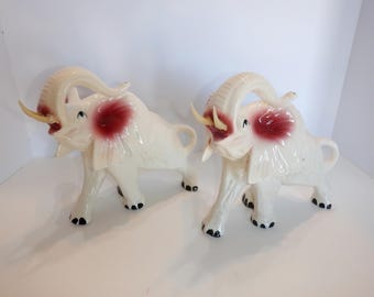 Elephants White and Trump Up Lucky