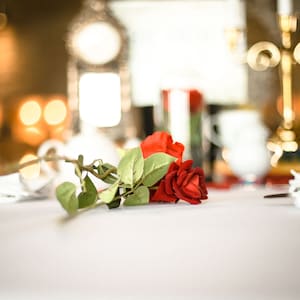 Rosa individual de La Bella y la Bestia, perfecta para bodas con temática de cuento de hadas, centros de mesa, decoraciones rústicas para bodas, cumpleaños, día de San Valentín