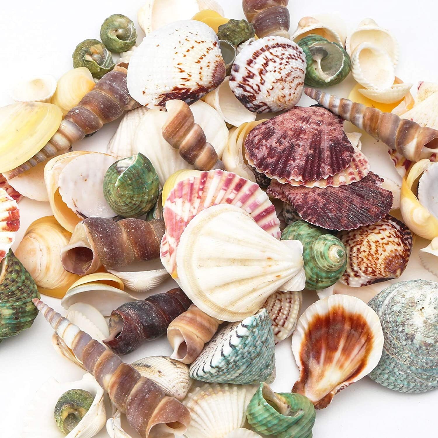 Peter Pan Shells Little Mermaid Centerpiece Fairytale Weddings Favors ...