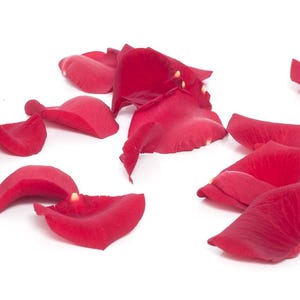 Pétalos de rosa de La Bella y la Bestia, perfectos para bodas con temática de cuento de hadas, centros de mesa, decoraciones rústicas para bodas, cumpleaños y San Valentín